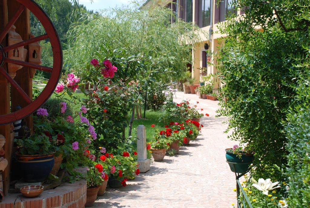 Villa Giulia Islaz Esterno foto